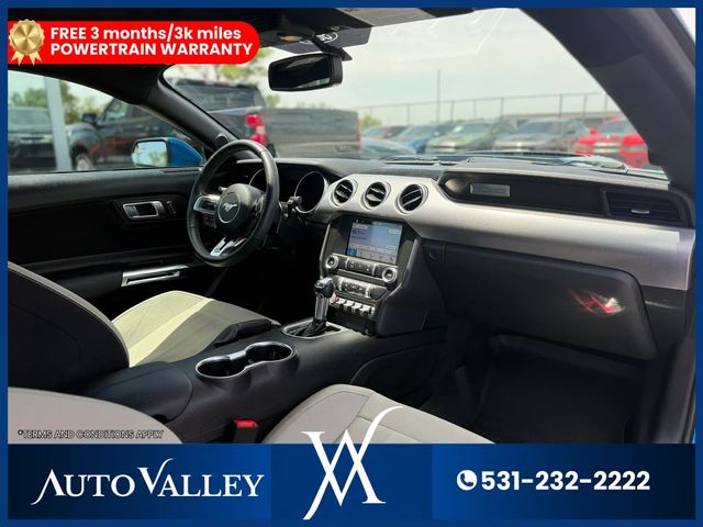 2019 Ford Mustang EcoBoost Coupe 2D - 23041923 - 16
