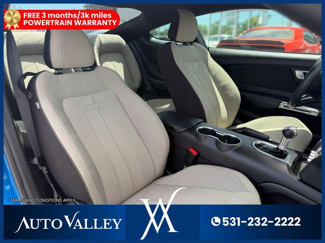 2019 Ford Mustang EcoBoost Coupe 2D - 23041923 - 17