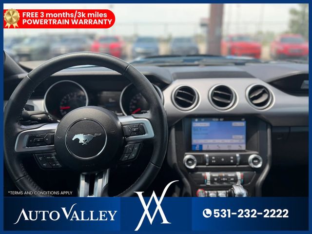 2019 Ford Mustang EcoBoost Coupe 2D - 23041923 - 20