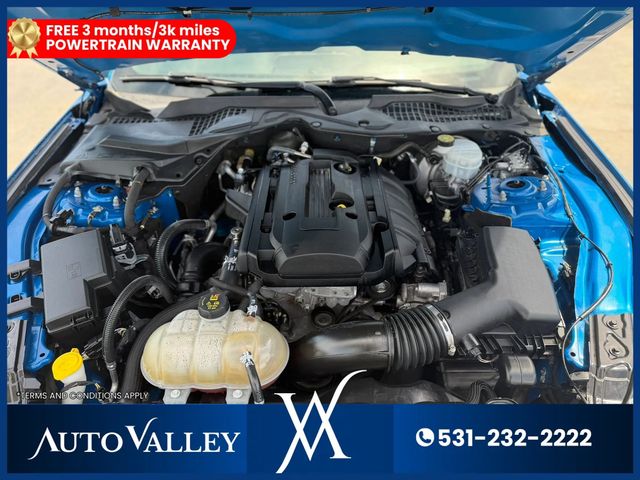 2019 Ford Mustang EcoBoost Coupe 2D - 23041923 - 30