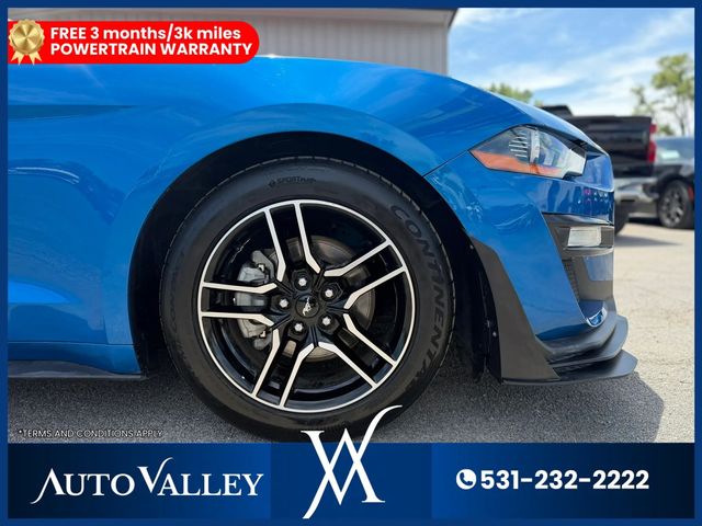 2019 Ford Mustang EcoBoost Coupe 2D - 23041923 - 31