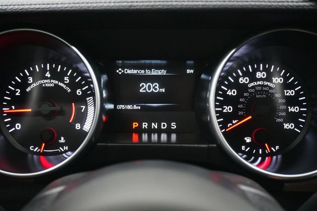 2019 Ford Mustang EcoBoost Fastback - 22935420 - 15