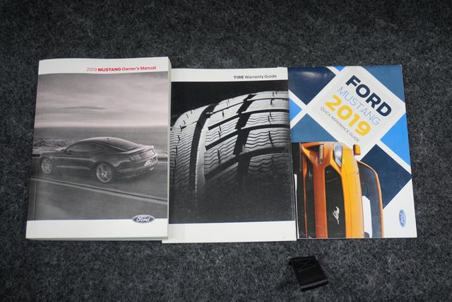 2019 Ford Mustang EcoBoost Fastback - 22935420 - 22