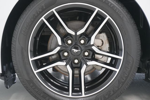 2019 Ford Mustang EcoBoost Fastback - 22935420 - 24