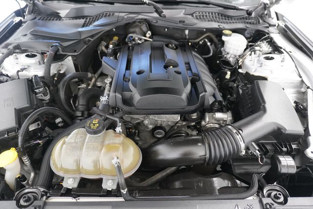 2019 Ford Mustang EcoBoost Fastback - 22935420 - 25