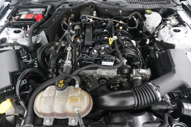 2019 Ford Mustang EcoBoost Fastback - 22995855 - 24