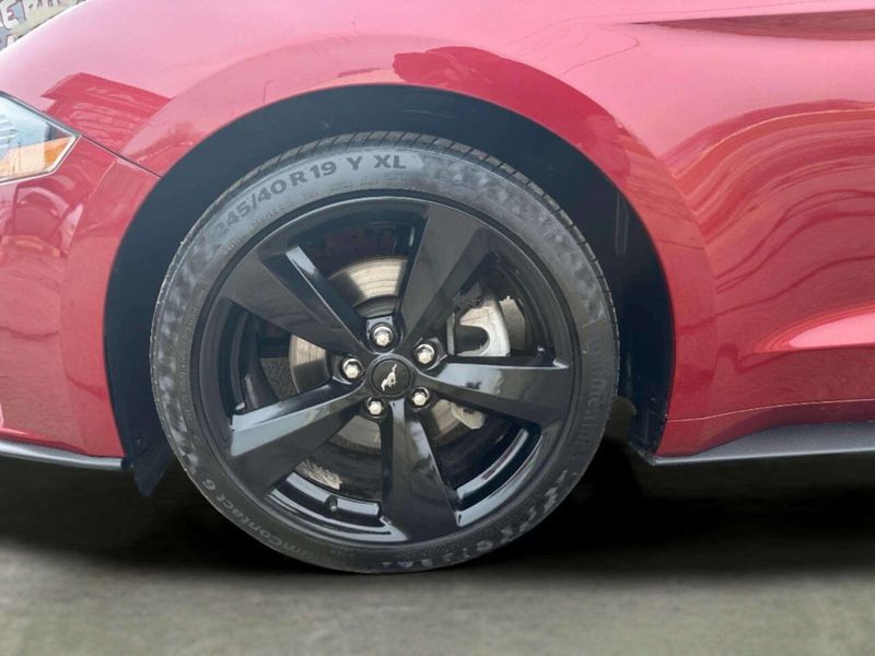2019 Ford Mustang EcoBoost Fastback - 22984906 - 30