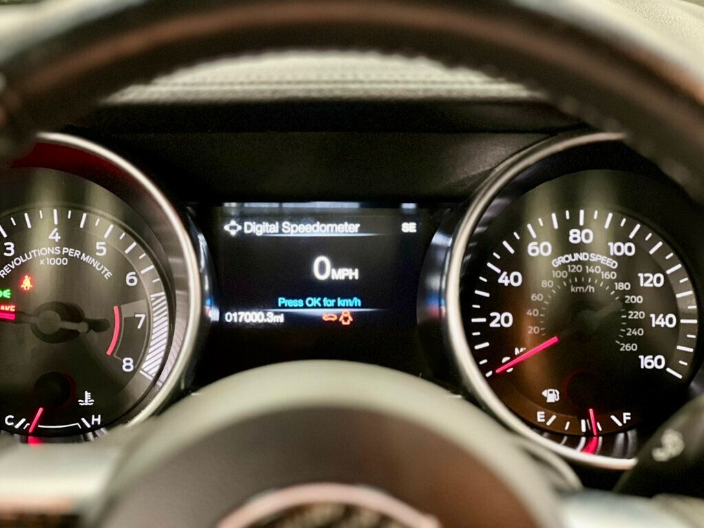 2019 Ford Mustang EcoBoost Fastback - 22945152 - 15