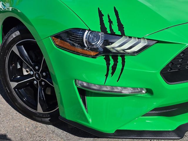 2019 Ford Mustang EcoBoost Fastback - 22940550 - 2