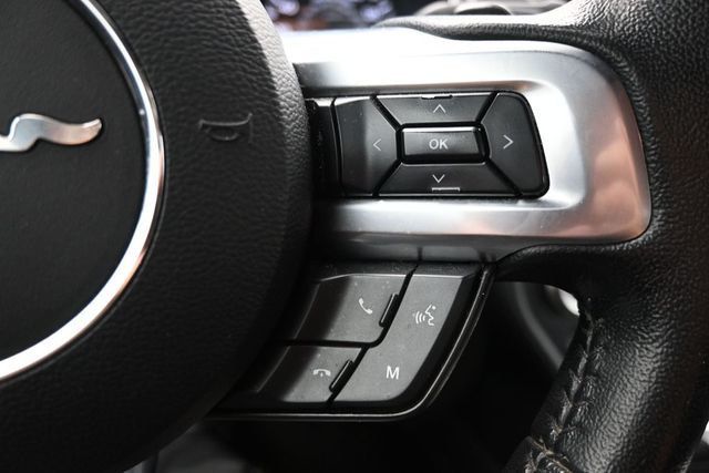 2019 Ford Mustang EcoBoost Fastback - 23020606 - 17