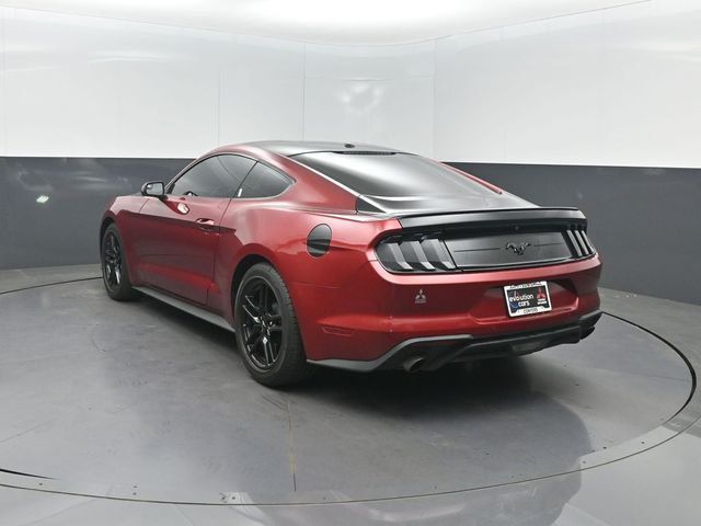 2019 Ford Mustang EcoBoost Fastback - 23020606 - 22
