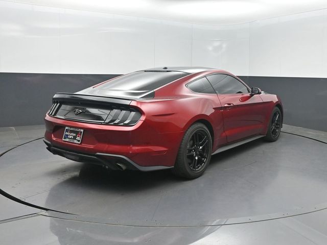 2019 Ford Mustang EcoBoost Fastback - 23020606 - 24