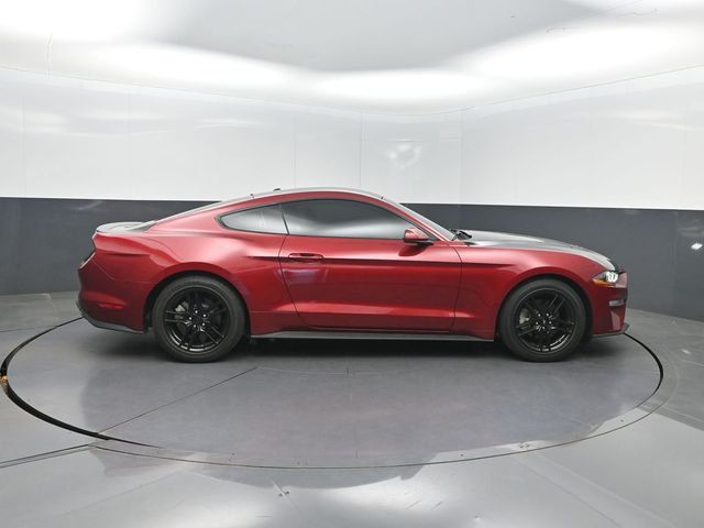 2019 Ford Mustang EcoBoost Fastback - 23020606 - 25
