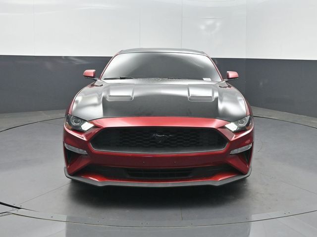 2019 Ford Mustang EcoBoost Fastback - 23020606 - 27