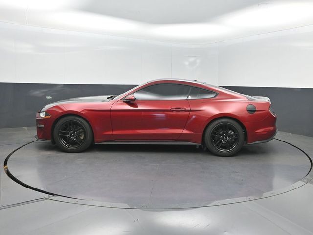 2019 Ford Mustang EcoBoost Fastback - 23020606 - 2