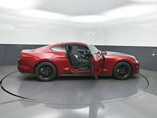 2019 Ford Mustang EcoBoost Fastback - 23020606 - 29