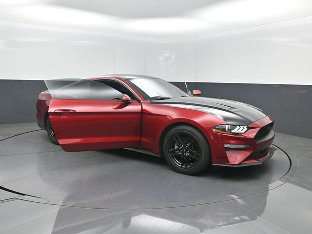 2019 Ford Mustang EcoBoost Fastback - 23020606 - 30