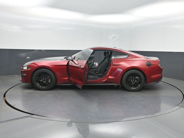 2019 Ford Mustang EcoBoost Fastback - 23020606 - 31