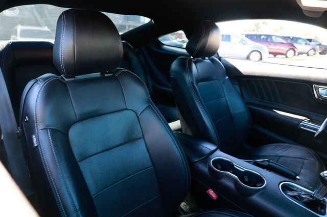 2019 Ford Mustang EcoBoost Fastback - 22943616 - 15