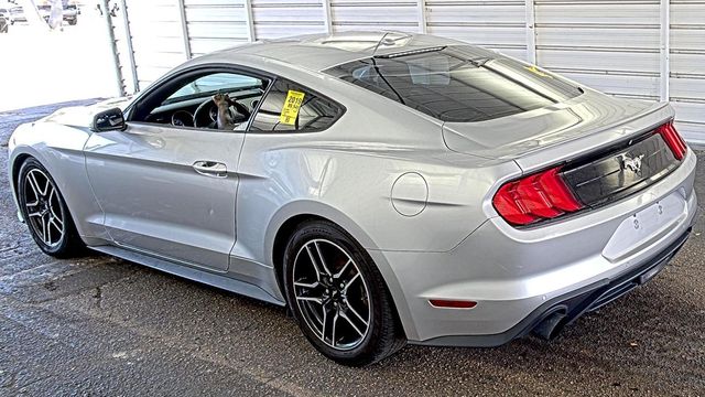 2019 Ford Mustang EcoBoost Fastback - 22943616 - 1