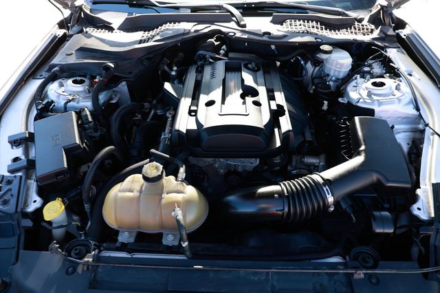 2019 Ford Mustang EcoBoost Fastback - 22943616 - 19