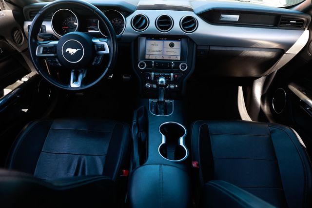 2019 Ford Mustang EcoBoost Fastback - 22943616 - 22