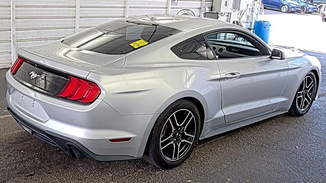 2019 Ford Mustang EcoBoost Fastback - 22943616 - 2