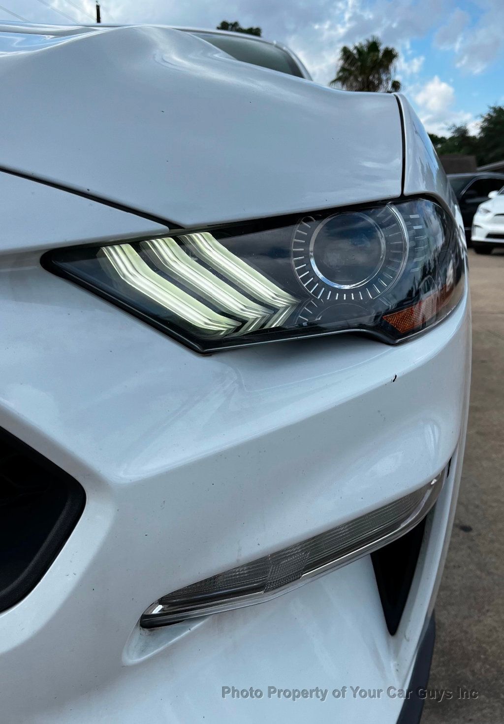 2019 Ford Mustang EcoBoost Fastback - 23040724 - 14