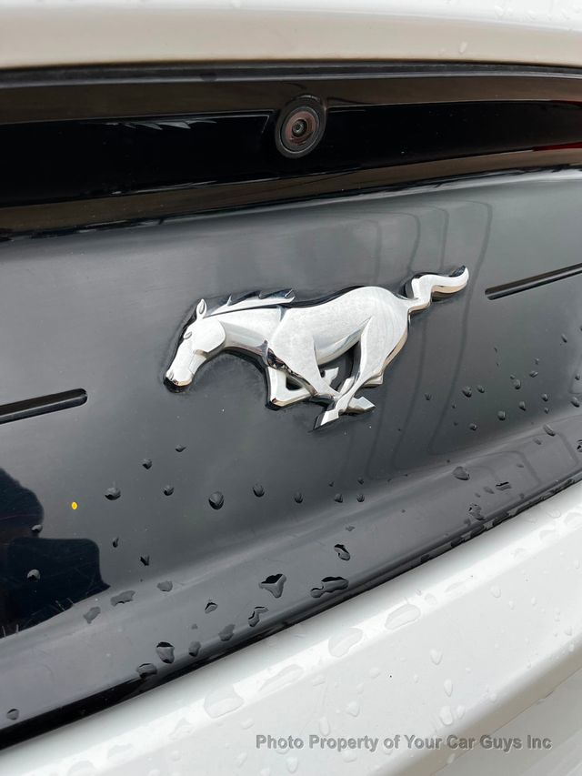 2019 Ford Mustang EcoBoost Fastback - 23040724 - 25