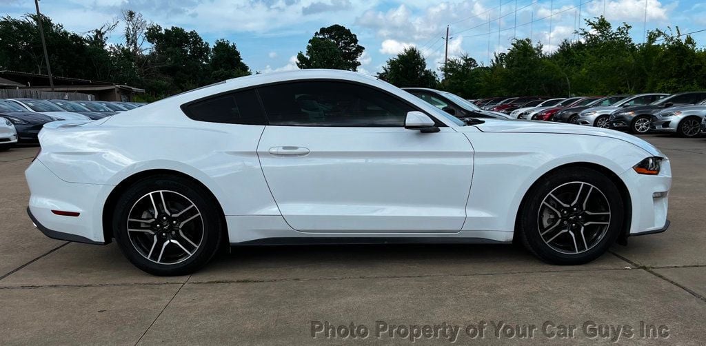 2019 Ford Mustang EcoBoost Fastback - 23040724 - 2