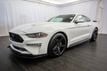 2019 Ford Mustang EcoBoost Fastback - 22973163 - 24