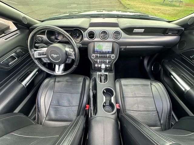 2019 Ford Mustang EcoBoost Premium Convertible - 22545834 - 12