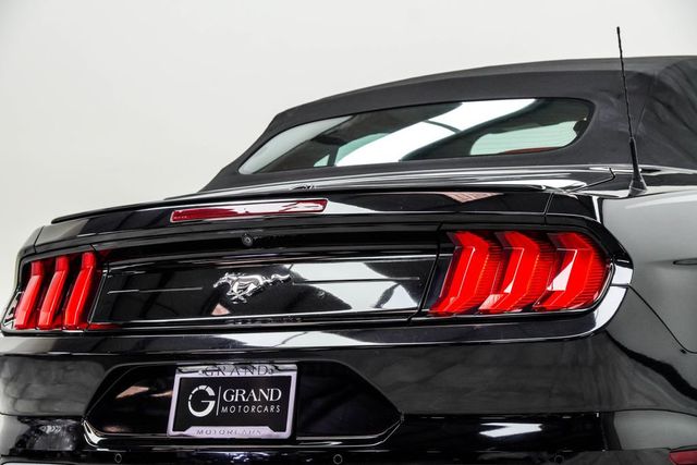 2019 Ford Mustang EcoBoost Premium Convertible - 23062159 - 10