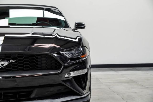 2019 Ford Mustang EcoBoost Premium Convertible - 23062159 - 3