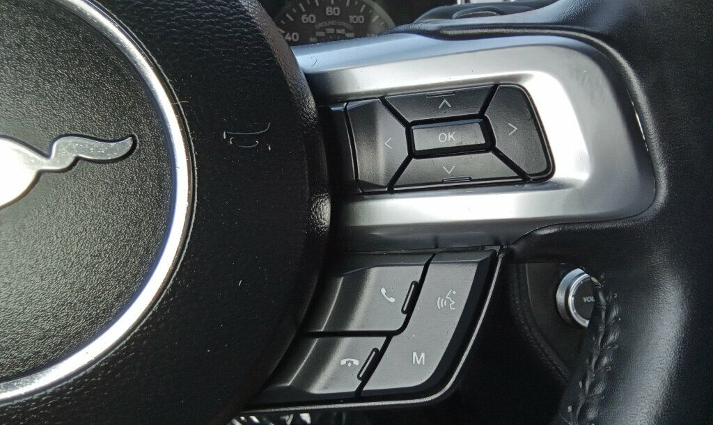 2019 Ford Mustang EcoBoost Premium Convertible photo 19