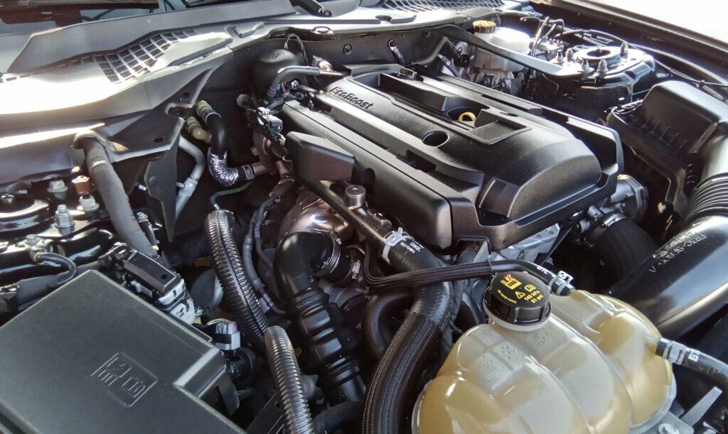 2019 Ford Mustang EcoBoost Premium Convertible photo 29