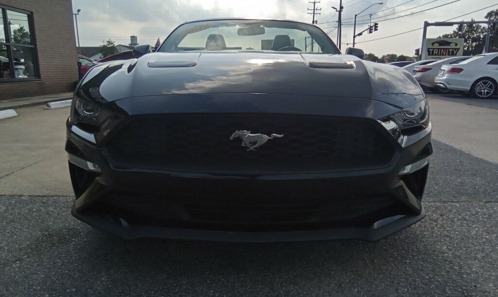 2019 Ford Mustang EcoBoost Premium Convertible photo 6