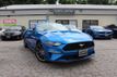 2019 Ford Mustang EcoBoost Premium Convertible - 22418179 - 4