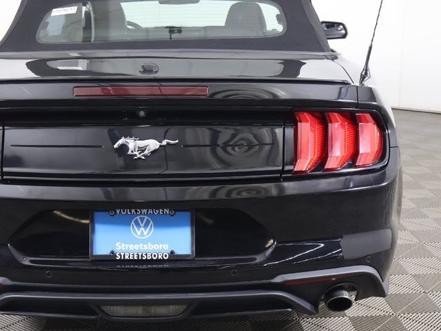 2019 Ford Mustang EcoBoost Premium Convertible - 22969200 - 12