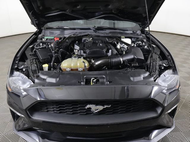 2019 Ford Mustang EcoBoost Premium Convertible - 22969200 - 15