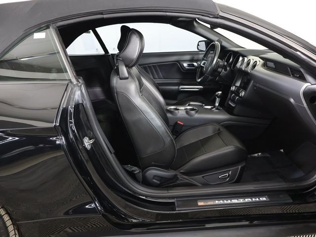 2019 Ford Mustang EcoBoost Premium Convertible - 22969200 - 23
