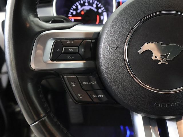 2019 Ford Mustang EcoBoost Premium Convertible - 22969200 - 30