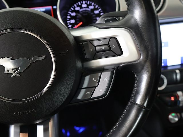 2019 Ford Mustang EcoBoost Premium Convertible - 22969200 - 31