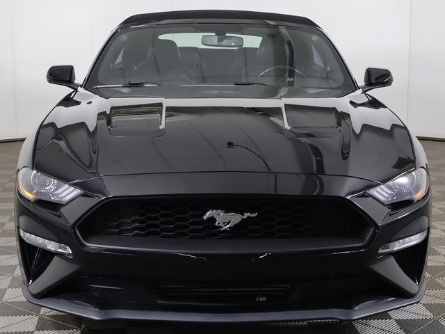 2019 Ford Mustang EcoBoost Premium Convertible - 22969200 - 7