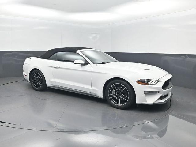 2019 Ford Mustang EcoBoost Premium Convertible - 23074764 - 24