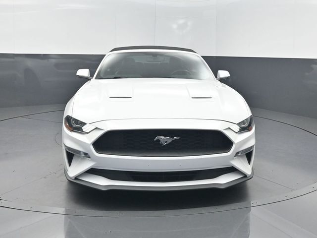 2019 Ford Mustang EcoBoost Premium Convertible - 23074764 - 25