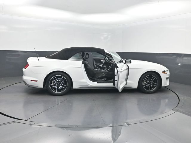 2019 Ford Mustang EcoBoost Premium Convertible - 23074764 - 27