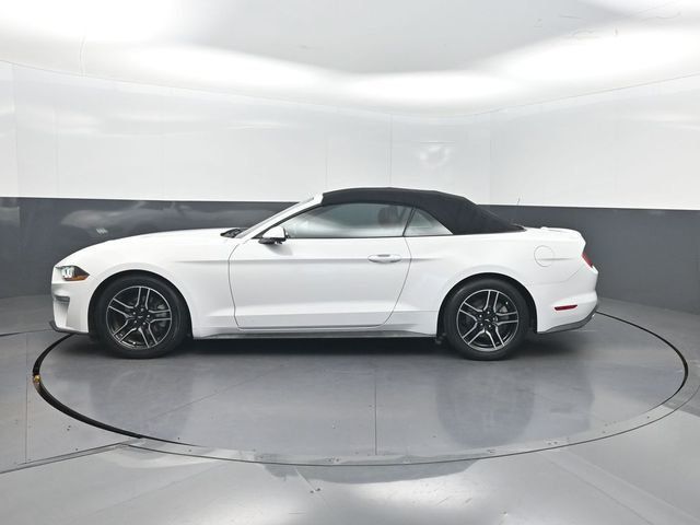 2019 Ford Mustang EcoBoost Premium Convertible - 23074764 - 2