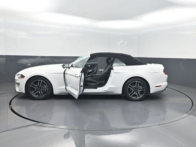 2019 Ford Mustang EcoBoost Premium Convertible - 23074764 - 29