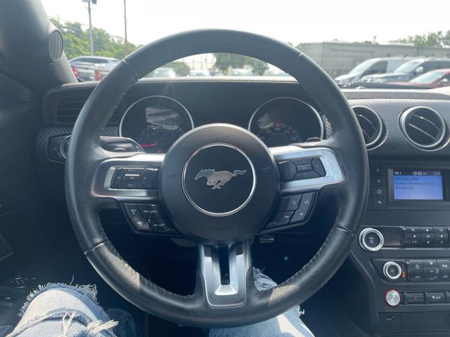 2019 Ford Mustang EcoBoost Premium Fastback - 21968911 - 14